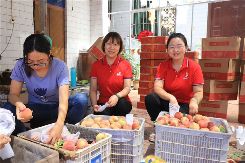 2022-助力農戶銷售水蜜桃