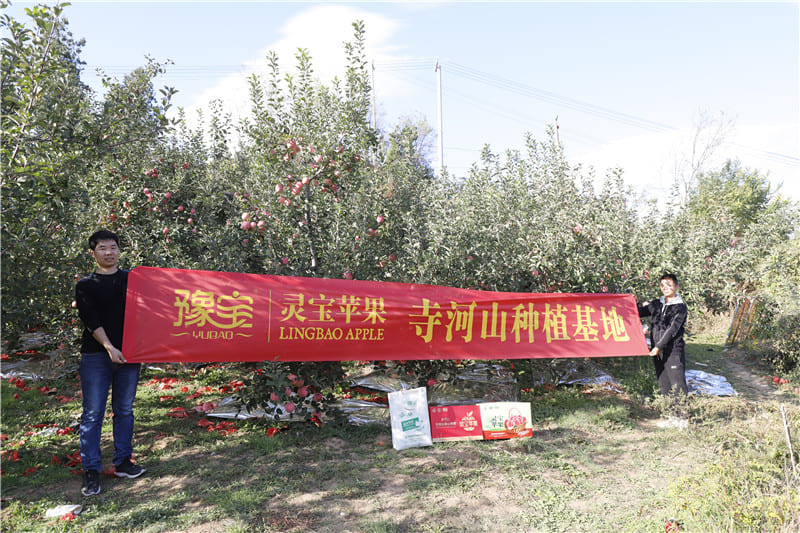 2022-幫助果農(nóng)銷售蘋果