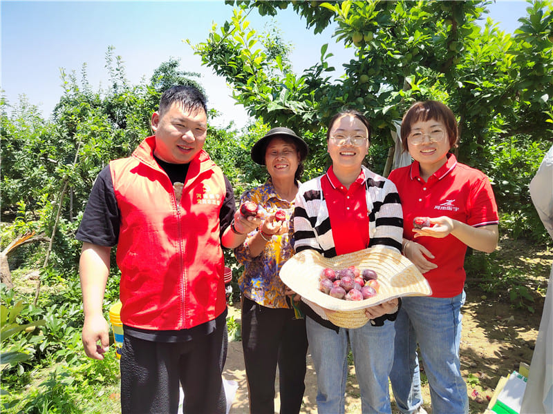 2023-幫助農戶銷售紅布林 助力鄉(xiāng)村振興