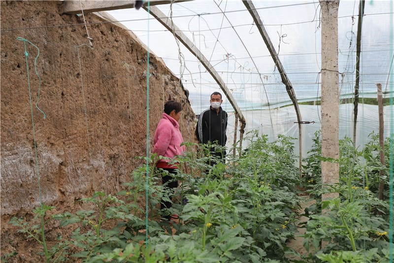 2022-助力農村蔬菜收購